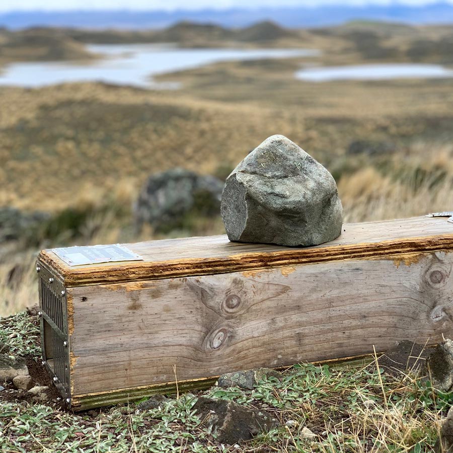 Predator control at Te Manahuna Aoraki Project