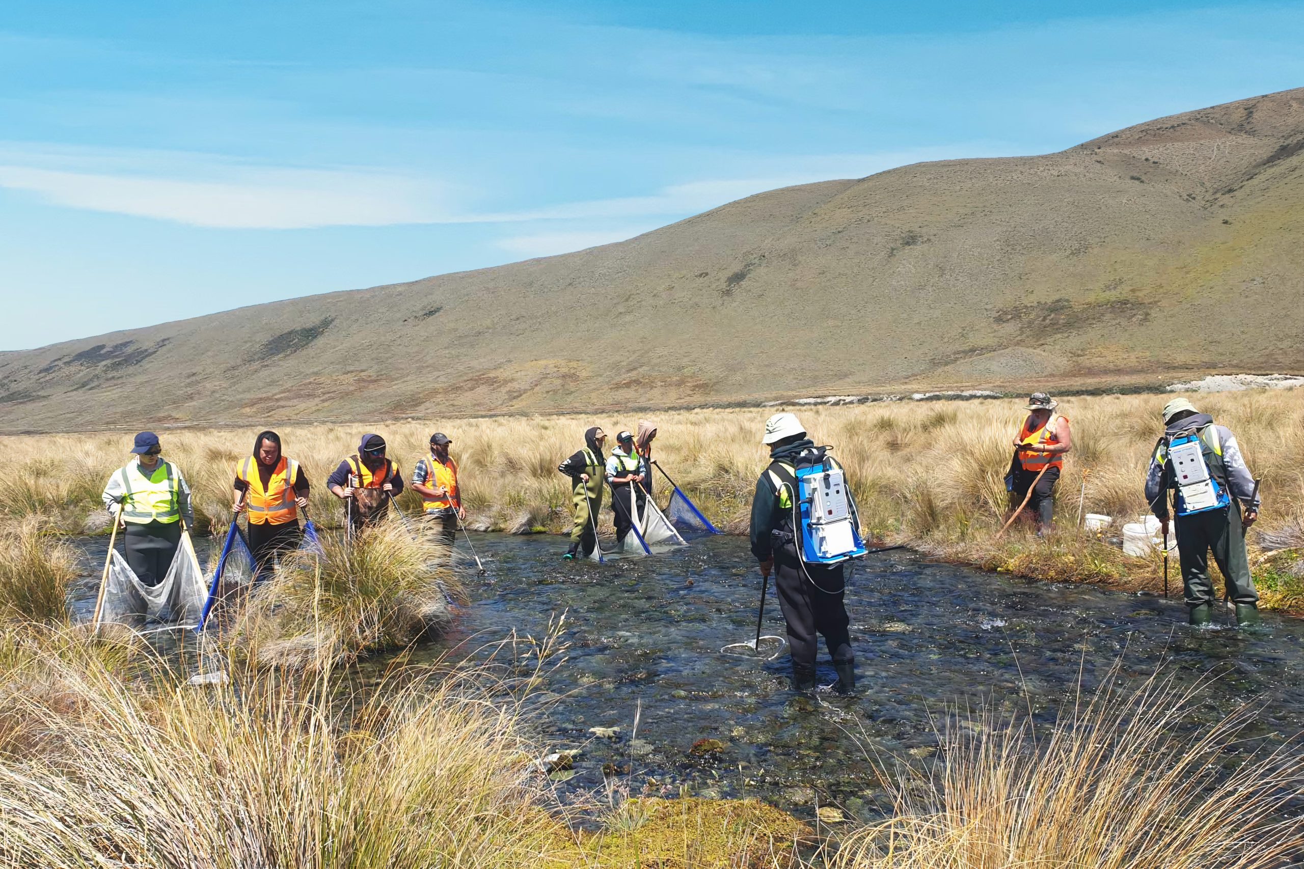Doing the mahi with Matua Karl keeping a keen eye on the operation.